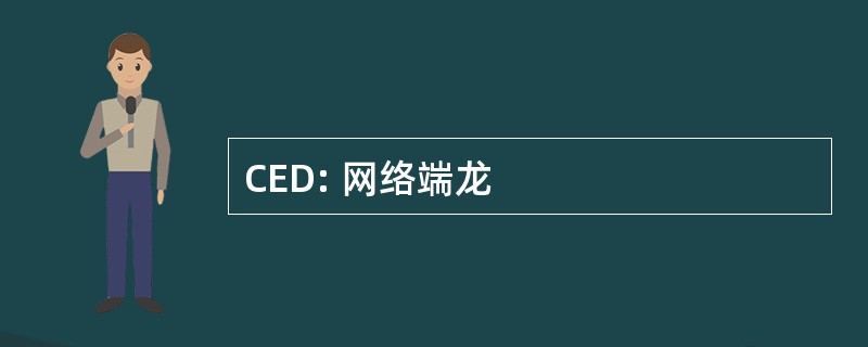 CED: 网络端龙