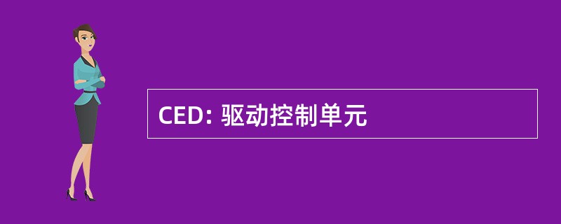 CED: 驱动控制单元