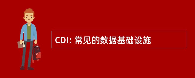 CDI: 常见的数据基础设施