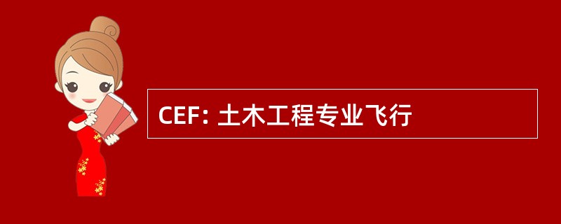 CEF: 土木工程专业飞行