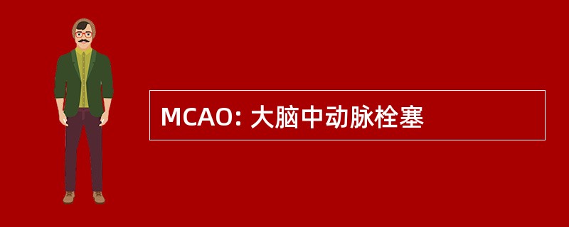 MCAO: 大脑中动脉栓塞