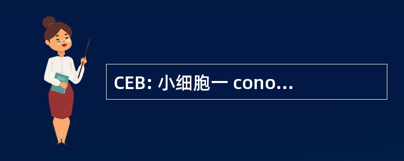 CEB: 小细胞一 conomique 布列塔尼