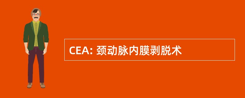 CEA: 颈动脉内膜剥脱术