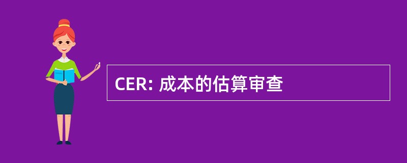 CER: 成本的估算审查