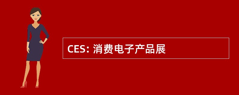 CES: 消费电子产品展