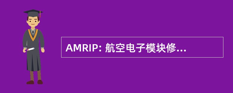 AMRIP: 航空电子模块修复改善计划