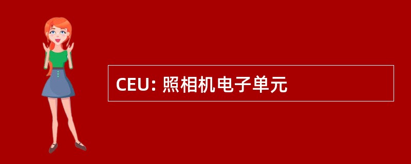 CEU: 照相机电子单元