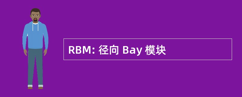 RBM: 径向 Bay 模块