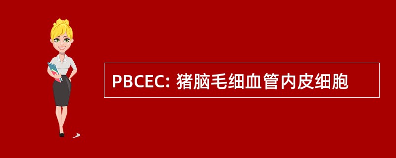 PBCEC: 猪脑毛细血管内皮细胞