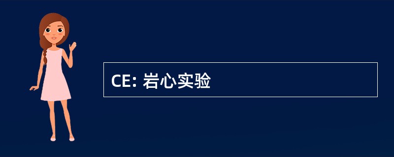 CE: 岩心实验