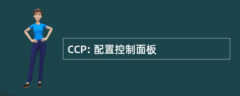 CCP: 配置控制面板