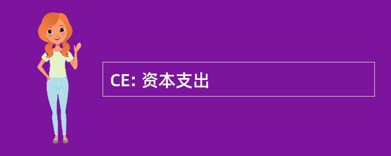 CE: 资本支出