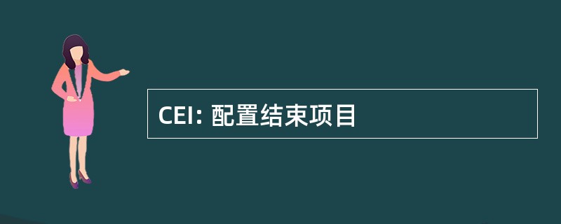 CEI: 配置结束项目