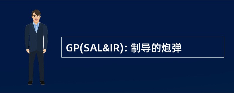 GP(SAL&amp;IR): 制导的炮弹