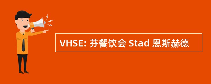 VHSE: 芬餐饮会 Stad 恩斯赫德