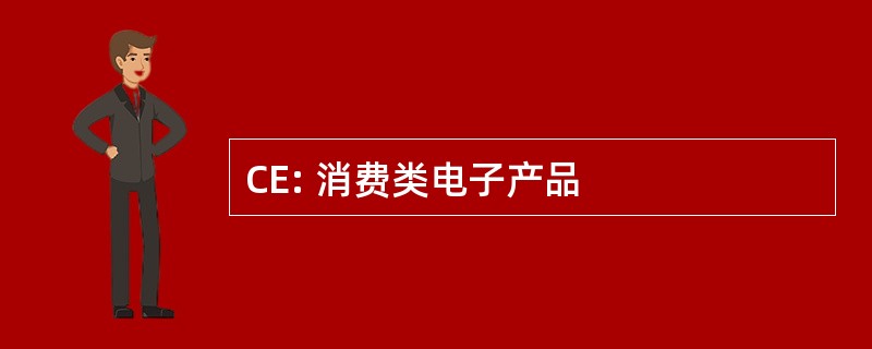 CE: 消费类电子产品