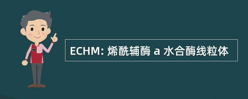 ECHM: 烯酰辅酶 a 水合酶线粒体