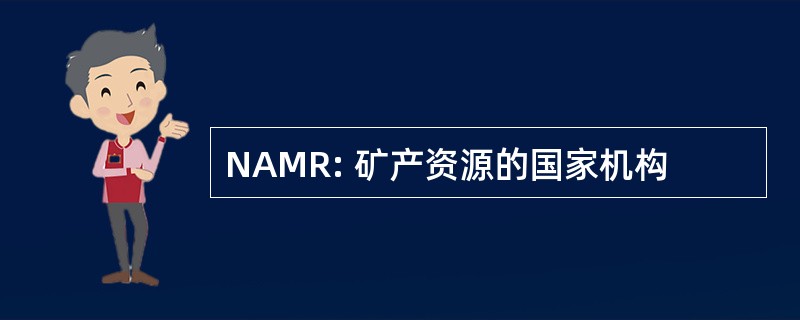 NAMR: 矿产资源的国家机构