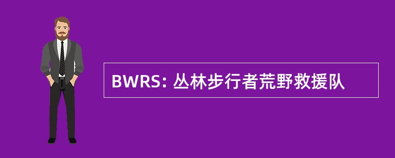 BWRS: 丛林步行者荒野救援队