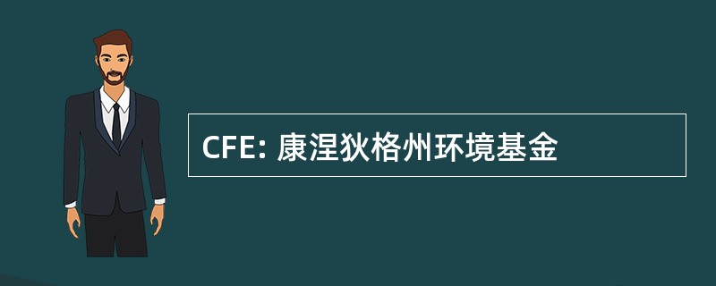 CFE: 康涅狄格州环境基金