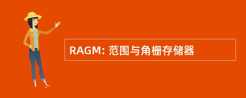 RAGM: 范围与角栅存储器