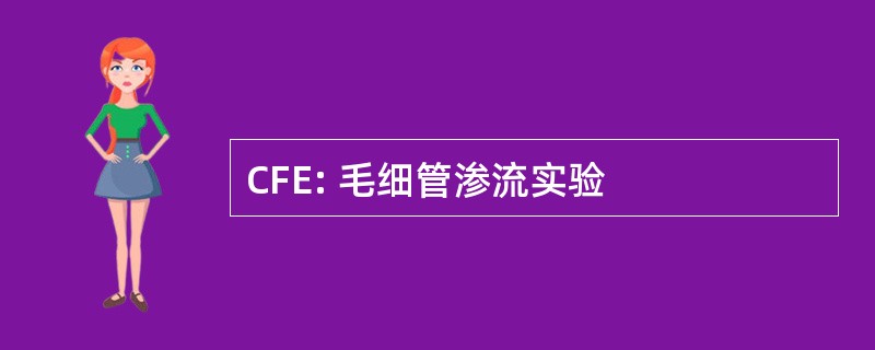 CFE: 毛细管渗流实验