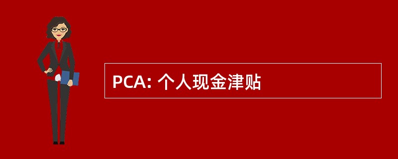 PCA: 个人现金津贴