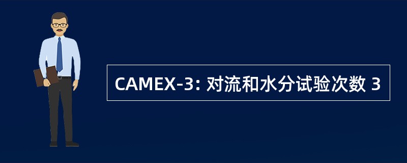 CAMEX-3: 对流和水分试验次数 3