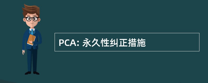 PCA: 永久性纠正措施