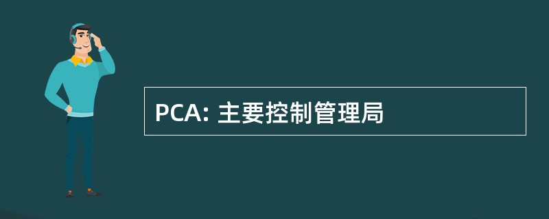 PCA: 主要控制管理局