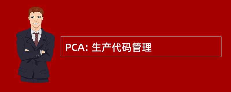 PCA: 生产代码管理