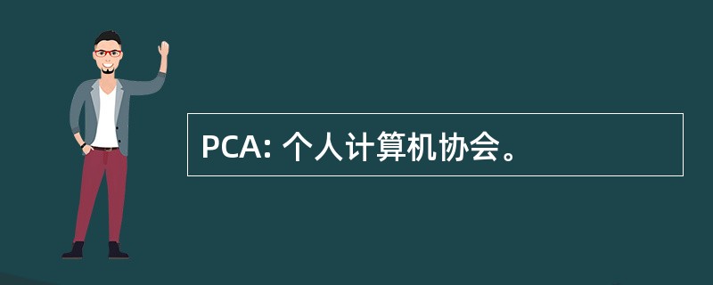 PCA: 个人计算机协会。