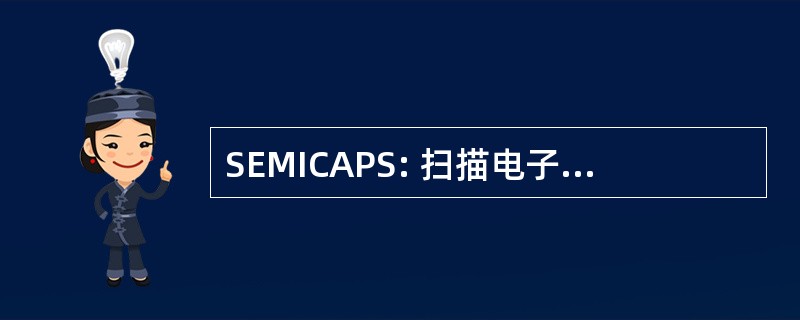 SEMICAPS: 扫描电子显微镜图像采集与处理系统