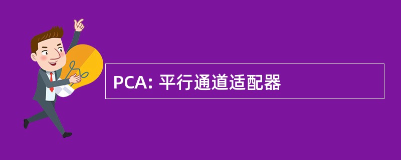 PCA: 平行通道适配器