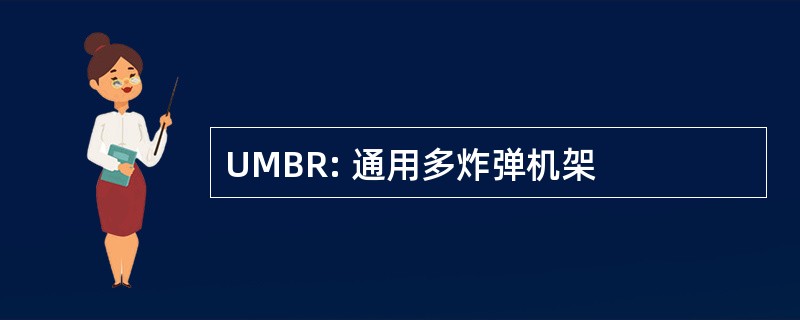 UMBR: 通用多炸弹机架