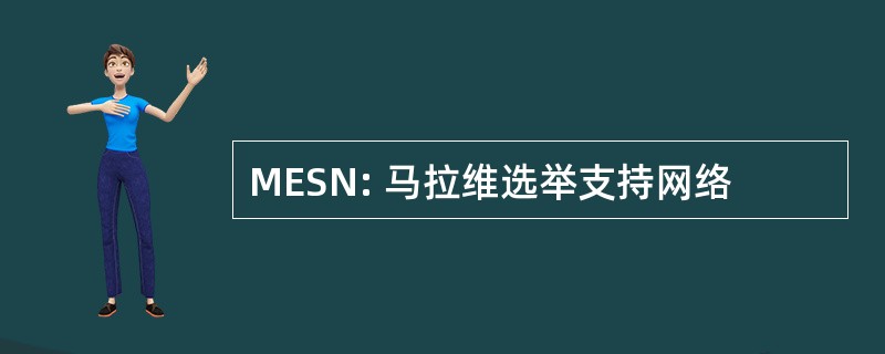 MESN: 马拉维选举支持网络