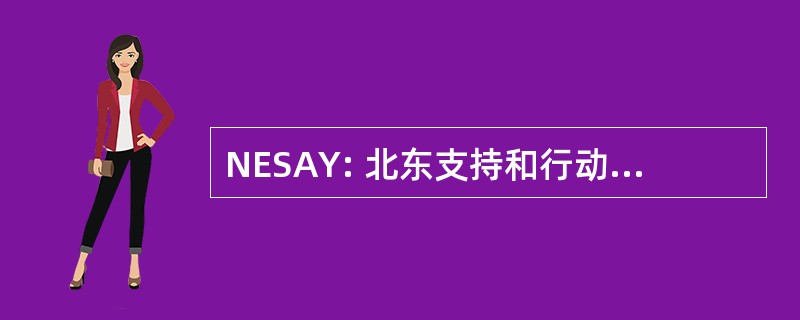 NESAY: 北东支持和行动青年，公司