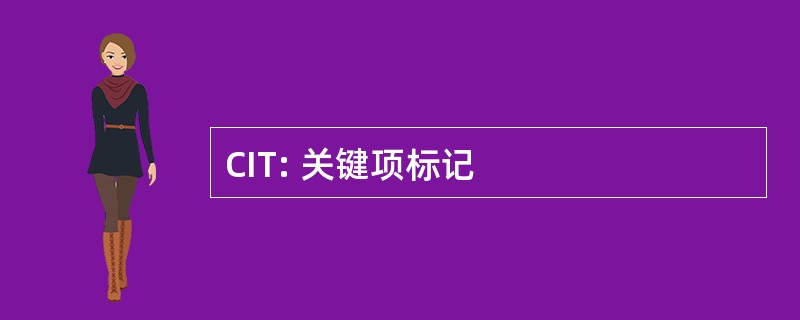 CIT: 关键项标记