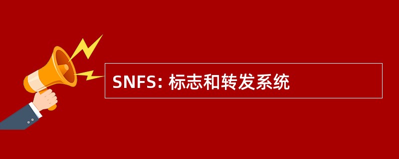 SNFS: 标志和转发系统