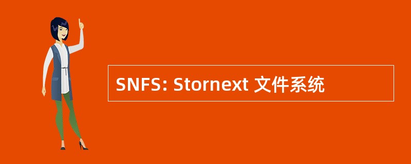 SNFS: Stornext 文件系统