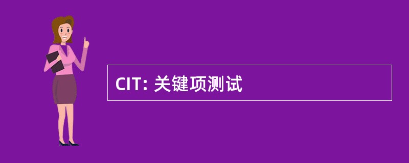 CIT: 关键项测试