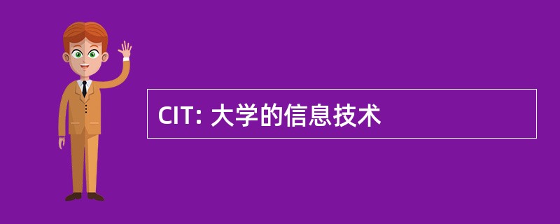 CIT: 大学的信息技术