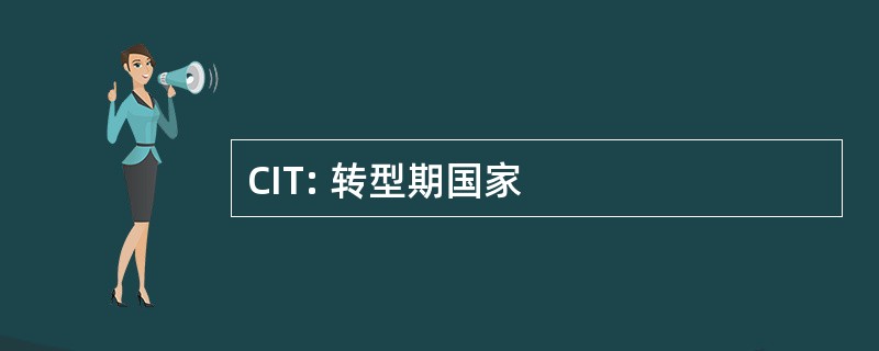 CIT: 转型期国家