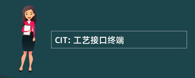 CIT: 工艺接口终端