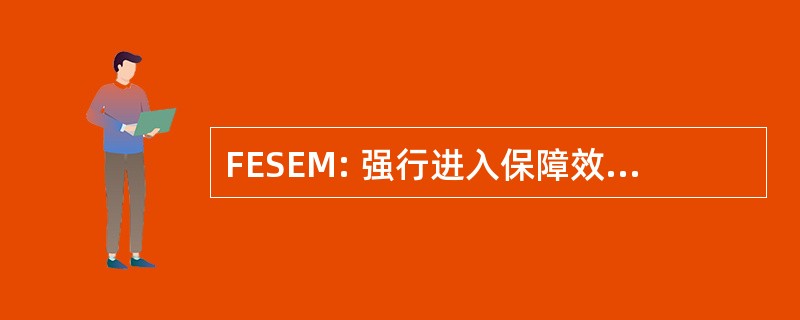 FESEM: 强行进入保障效能的数学模型