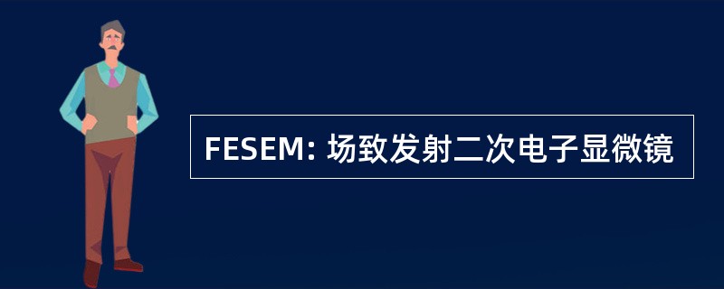 FESEM: 场致发射二次电子显微镜