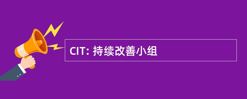 CIT: 持续改善小组