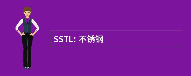 SSTL: 不锈钢