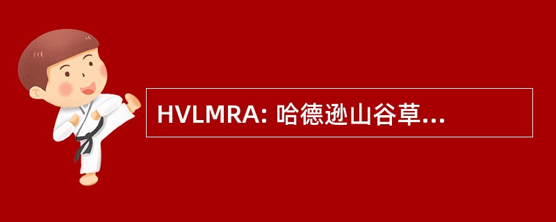 HVLMRA: 哈德逊山谷草坪割草机赛车协会