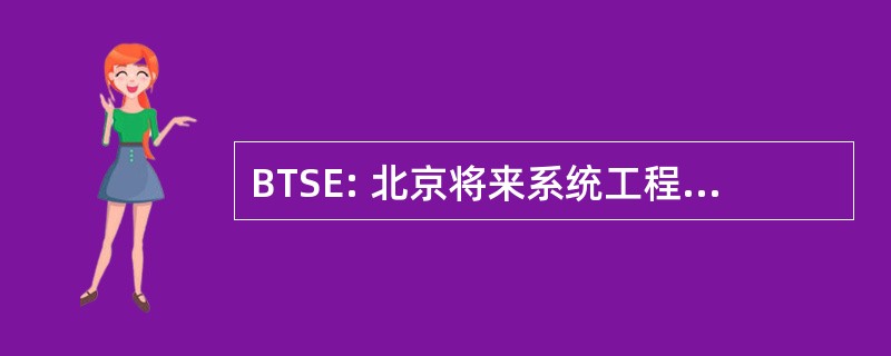 BTSE: 北京将来系统工程有限公司。